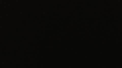 genitalwars online show from December 22, 11:40 am