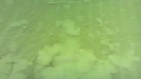 georgempt online show from June 15, 5:42 am