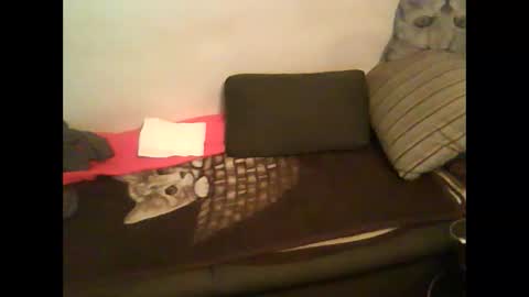 Snapshot of germantslover39 chatting on February 7, 5:41 am Alex39 online show from February 7, 5:41 am
