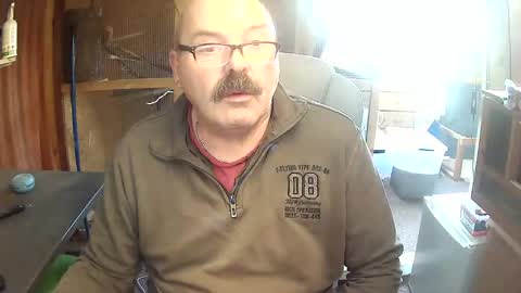 germany_50 online show from November 17, 2:01 pm