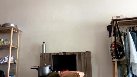 gerson229 online show from January 6, 4:11 pm