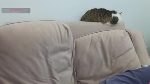 Gerta online show from March 8, 9:29 pm