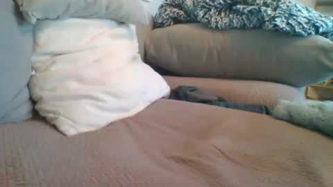 Getsome11 online show from March 8, 12:53 pm