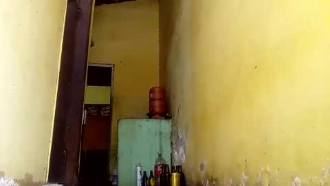 Gaby online show from October 13, 5:13 pm