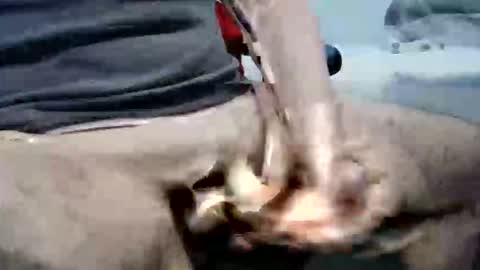 ghost1805 online show from October 6, 10:29 pm