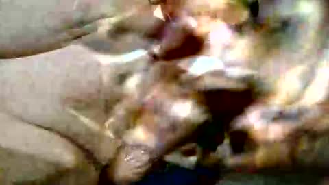 ghost1805 online show from October 29, 9:16 pm