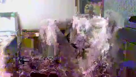 giann005 online show from March 24, 3:28 pm