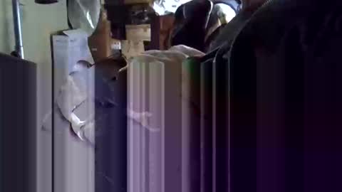 Corrado online show from January 19, 10:19 am