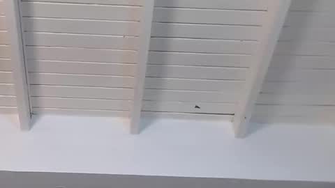 Snapshot of gigi_wilden chatting on January 15, 2:24 pm gigi wilden online show from January 15, 2:24 pm