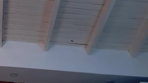 Snapshot of gigi_wilden chatting on February 19, 8:20 pm gigi wilden online show from February 19, 8:20 pm