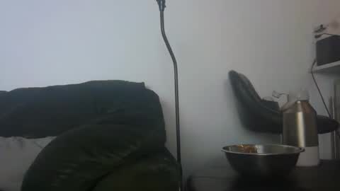 Snapshot of gildedsins1 chatting on February 24, 6:33 am WildBoyVibes online show from February 24, 6:33 am