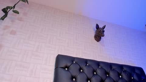 Giorgina online show from February 27, 8:39 am