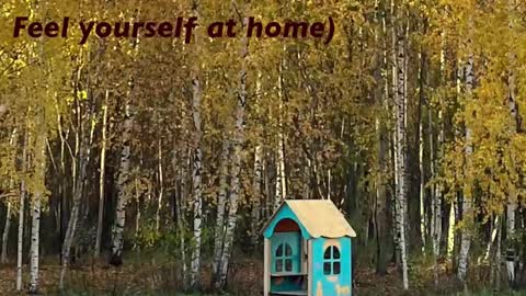 Kristin  online show from February 22, 5:33 pm