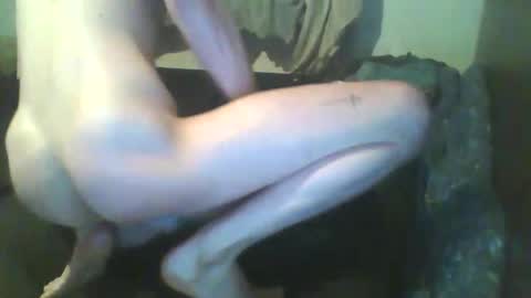 Snapshot of girthdoctor chatting on December 3, 1:02 am girthdoctor online show from December 3, 1:02 am