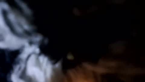 glizzy4u online show from December 19, 5:31 pm