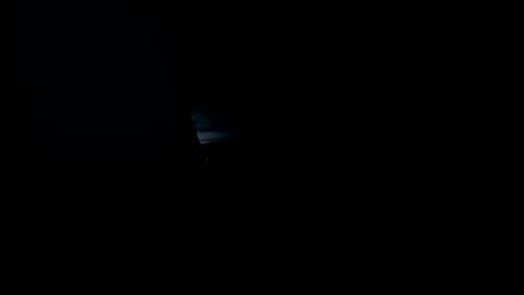 Snapshot of godbodies chatting on April 12, 2:38 am GodBodies online show from April 12, 2:38 am