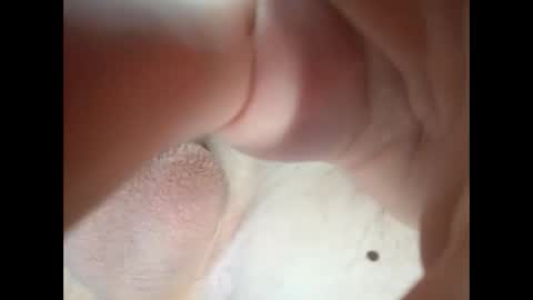 Snapshot of goe297850 chatting on January 15, 8:19 am 18teenhorny online show from January 15, 8:19 am