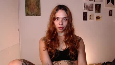 Snapshot of golden_alaska chatting on May 21, 12:39 am Alaska online show from May 21, 12:39 am