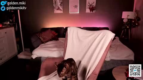 Snapshot of golden_miki chatting on February 2, 6:15 am Shy in the streets but a freak in the sheets online show from February 2, 6:15 am