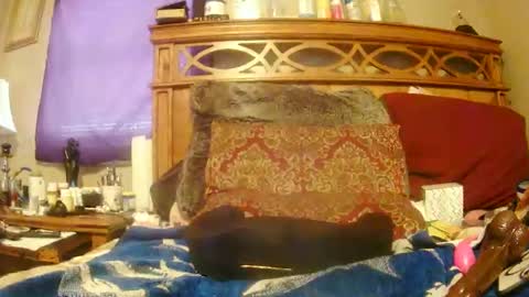 Juicy Booty online show from February 27, 6:42 pm