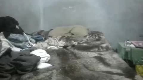 GorditoRicoJejeMX online show from September 20, 3:07 am