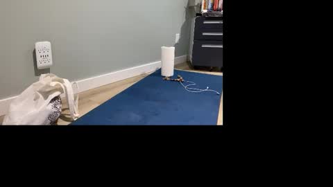 GoshLover online show from November 4, 5:01 pm