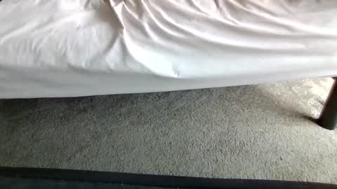 watch me stroke online show from May 20, 2:56 pm