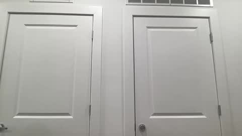 Snapshot of gracebailey1 chatting on February 4, 3:01 am grace bailey online show from February 4, 3:01 am