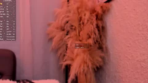 Grace online show from November 4, 12:04 pm