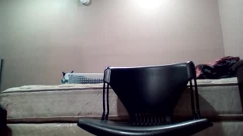 Jack online show from February 19, 12:56 pm