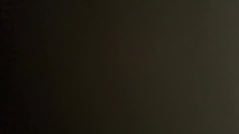 Snapshot of greyvan96 chatting on April 25, 12:57 am Perfectlyaveragesavage online show from April 25, 12:57 am
