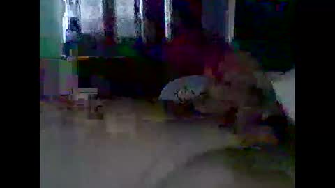 Snapshot of grittslappa chatting on November 11, 12:21 am grittslappa online show from November 11, 12:21 am