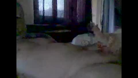 Snapshot of grittslappa chatting on November 14, 12:42 am grittslappa online show from November 14, 12:42 am