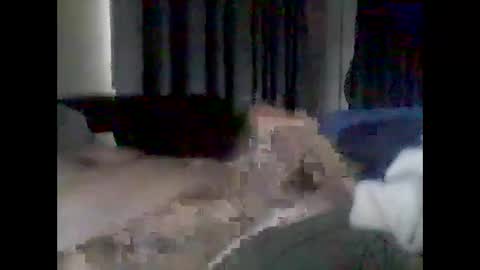 Snapshot of grittslappa chatting on February 17, 1:24 am grittslappa online show from February 17, 1:24 am