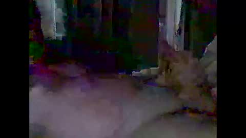 Snapshot of grittslappa chatting on April 28, 3:00 am grittslappa online show from April 28, 3:00 am