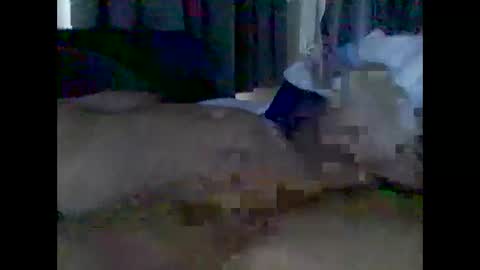 Snapshot of grittslappa chatting on May 3, 1:55 am grittslappa online show from May 3, 1:55 am