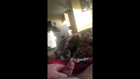 Snapshot of grizzely1975 chatting on November 22, 2:27 pm grizzely1975 online show from November 22, 2:27 pm