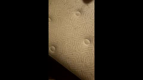 grizzely1975 online show from May 16, 2:41 am