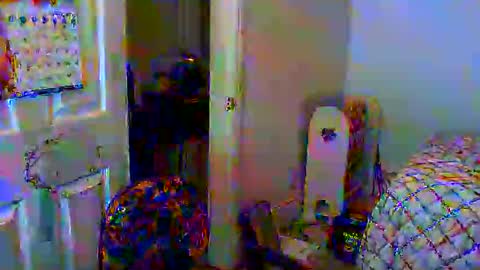 Snapshot of gtnolder60 chatting on January 6, 11:29 am Gary online show from January 6, 11:29 am