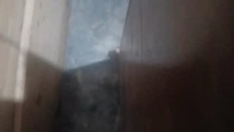 guidogomezcag online show from July 26, 5:48 am