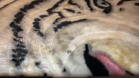 Snapshot of gumbywanna chatting on March 2, 6:58 am gumbywanna online show from March 2, 6:58 am