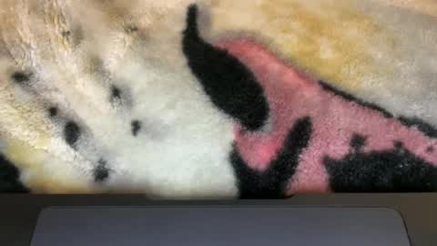 Snapshot of gumbywanna chatting on March 9, 6:06 am gumbywanna online show from March 9, 6:06 am