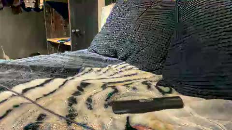 Snapshot of gumbywanna chatting on March 15, 2:39 am gumbywanna online show from March 15, 2:39 am