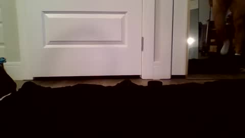 Snapshot of guysuper chatting on January 12, 5:07 pm Guy Spartan online show from January 12, 5:07 pm