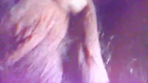 hagridthehorrible online show from December 5, 11:30 am