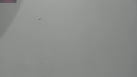 Snapshot of haileyduke chatting on April 2, 11:57 pm Hailey online show from April 2, 11:57 pm