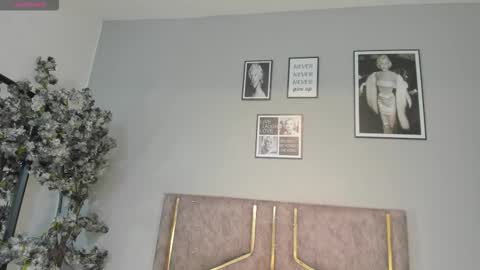 haileystonei online show from January 9, 11:02 am