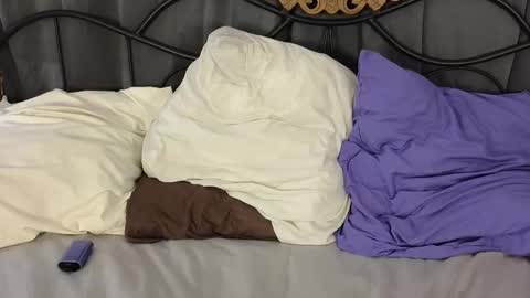 Lylu online show from February 3, 2:53 am