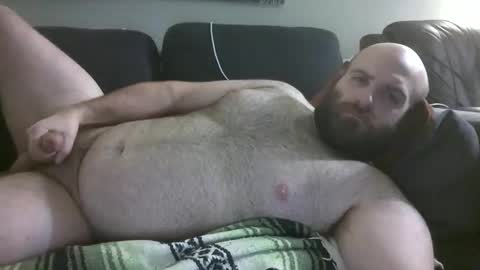 Hairiest Bear online show from February 22, 5:40 am