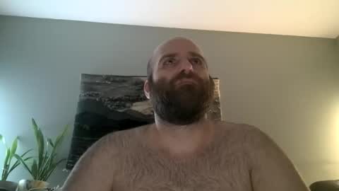Hairiest Bear online show from March 1, 5:53 am